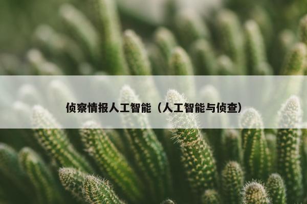 侦察情报人工智能（人工智能与侦查）