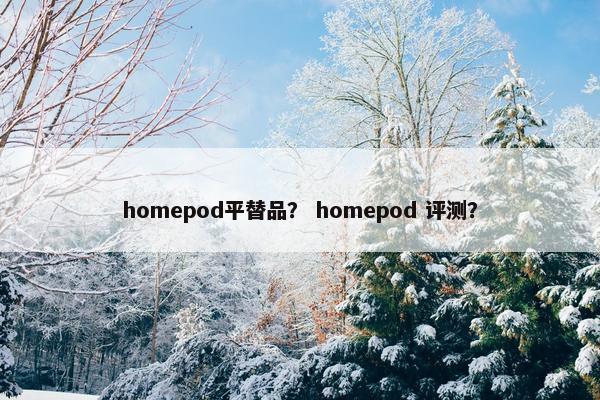 homepod平替品？ homepod 评测？