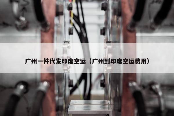 广州一件代发印度空运（广州到印度空运费用）