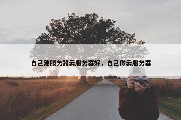 自己建服务器云服务器好，自己做云服务器