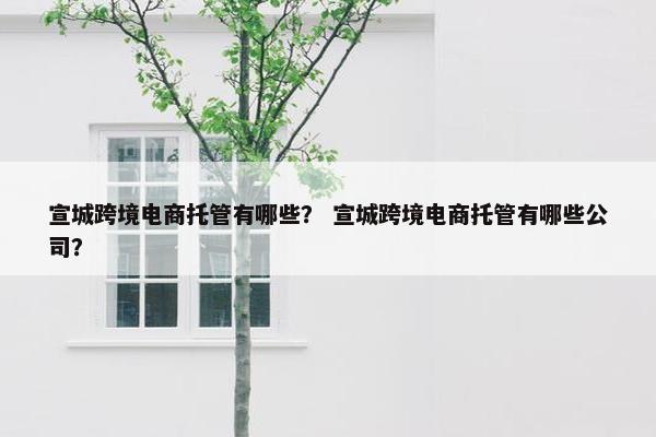 宣城跨境电商托管有哪些？ 宣城跨境电商托管有哪些公司？