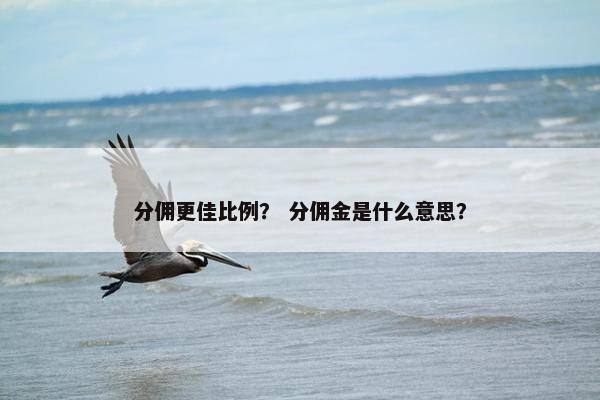 分佣更佳比例？ 分佣金是什么意思？