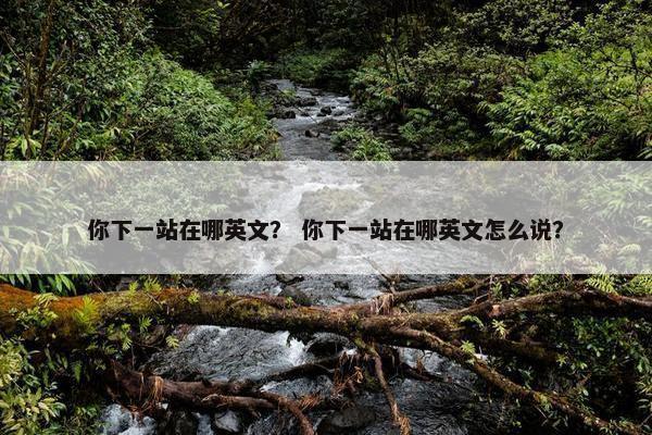 你下一站在哪英文？ 你下一站在哪英文怎么说？