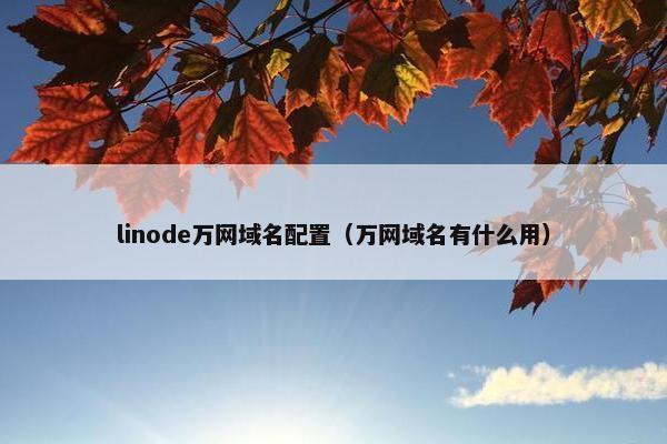 linode万网域名配置（万网域名有什么用）