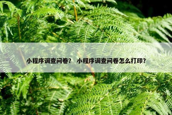 小程序调查问卷？ 小程序调查问卷怎么打印？