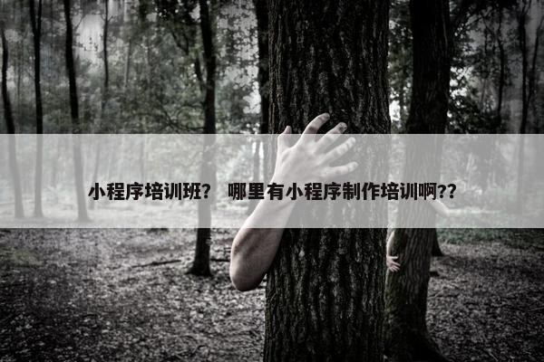 小程序培训班? 哪里有小程序制作培训啊?? 小程序培训班? 哪里有小程序制作培训啊??