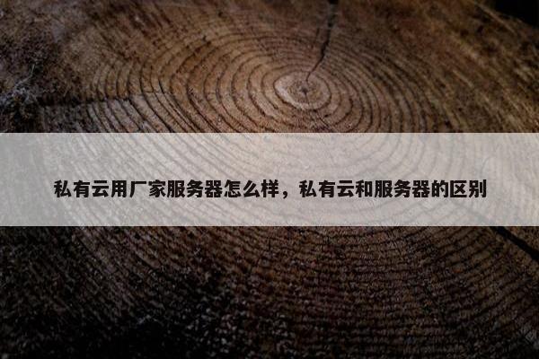 私有云用厂家服务器怎么样，私有云和服务器的区别