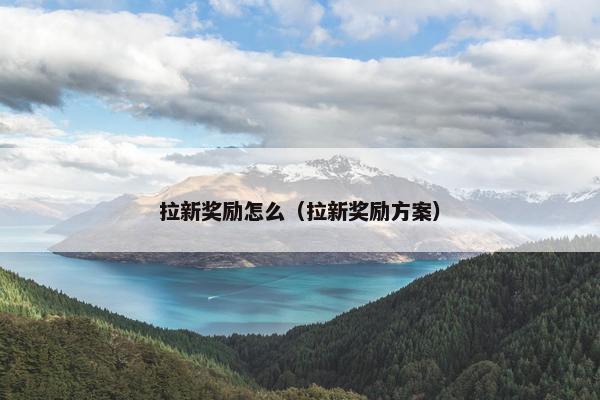 拉新奖励怎么（拉新奖励方案）