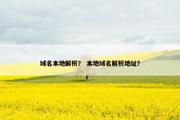 域名本地解析？ 本地域名解析地址？
