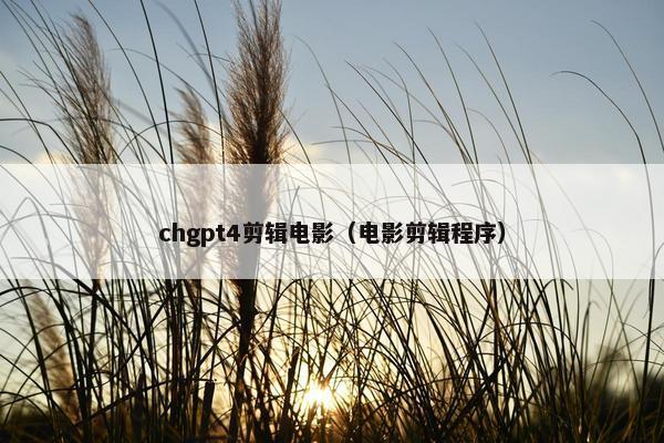 chgpt4剪辑电影（电影剪辑程序）