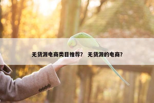 无货源电商类目推荐? 无货源的电商?