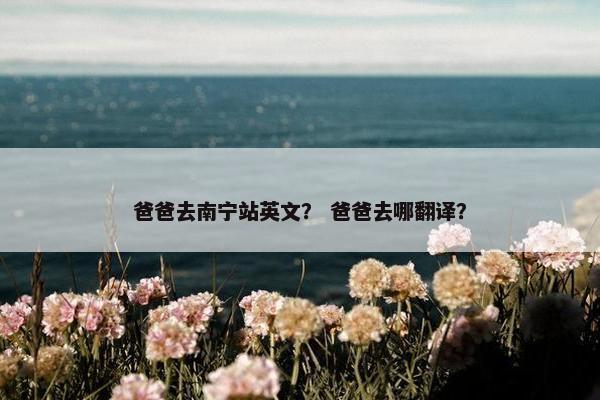 爸爸去南宁站英文？ 爸爸去哪翻译？