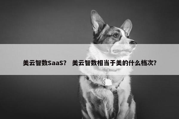 美云智数SaaS? 美云智数相当于美的什么档次? 美云智数SaaS? 美云智数相当于美的什么档次?