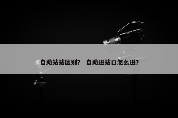自助站站区别？ 自助进站口怎么进？