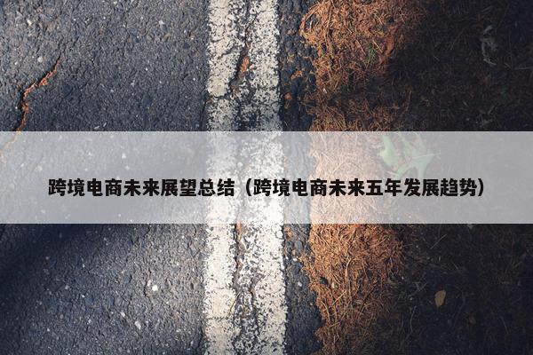 跨境电商未来展望总结（跨境电商未来五年发展趋势）
