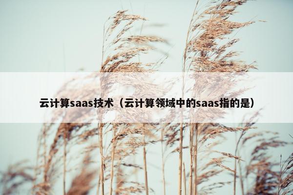 云计算saas技术（云计算领域中的saas指的是）