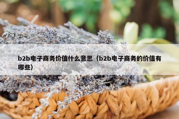 b2b电子商务价值什么意思（b2b电子商务的价值有哪些）