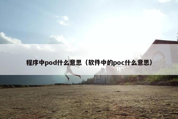 程序中pod什么意思（软件中的poc什么意思）