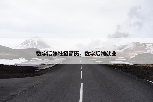 数字后端社招简历，数字后端就业