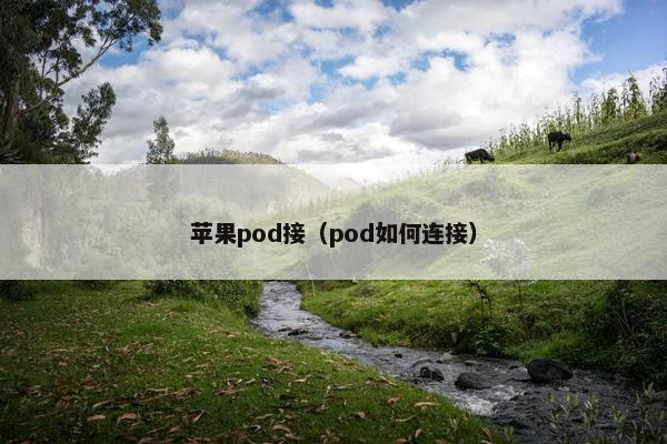 苹果pod接（pod如何连接）