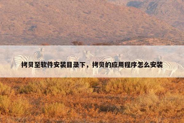 拷贝至软件安装目录下，拷贝的应用程序怎么安装