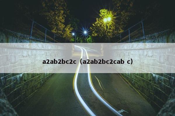 a2ab2bc2c(a2ab2bc2cab c)