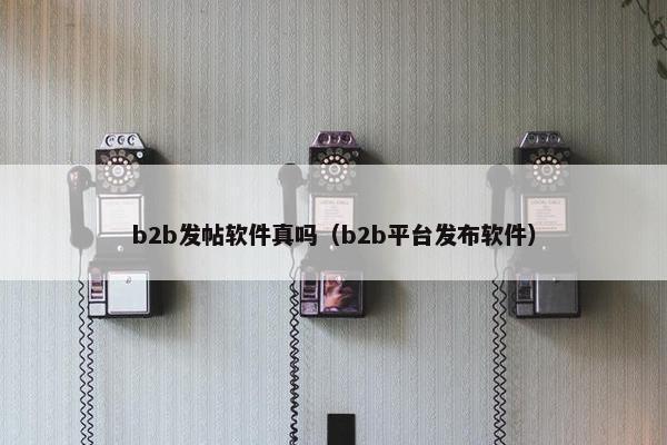 b2b发帖软件真吗（b2b平台发布软件）