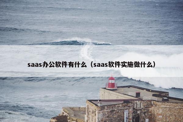 saas办公软件有什么（saas软件实施做什么）