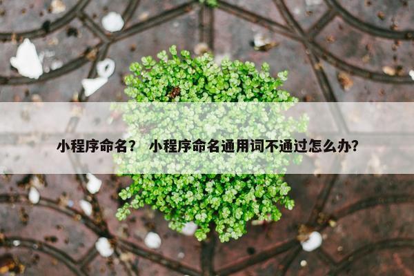 小程序命名？ 小程序命名通用词不通过怎么办？