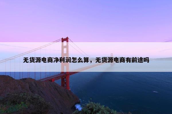 无货源电商净利润怎么算，无货源电商有前途吗