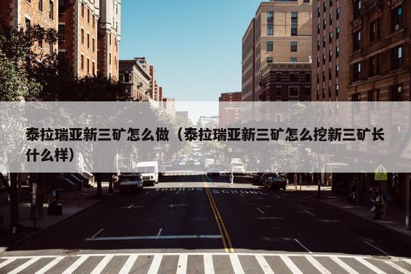 泰拉瑞亚新三矿怎么做(泰拉瑞亚新三矿怎么挖新三矿长什么样)