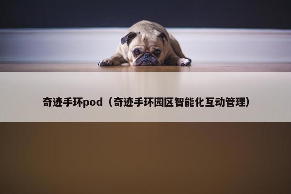 奇迹手环pod（奇迹手环园区智能化互动管理）