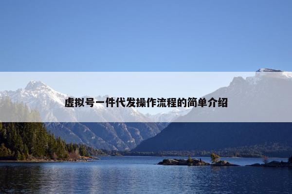 虚拟号一件代发操作流程的简单介绍