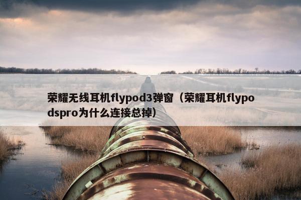 荣耀无线耳机flypod3弹窗（荣耀耳机flypodspro为什么连接总掉）
