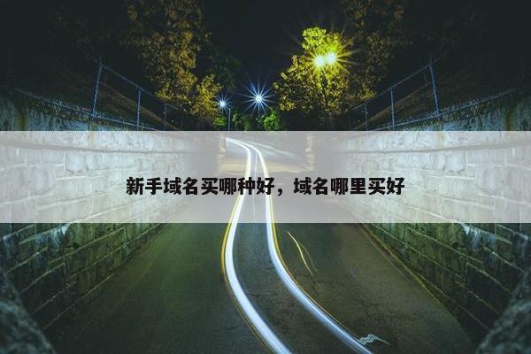 新手域名买哪种好，域名哪里买好