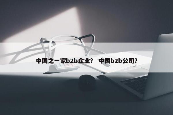 中国之一家b2b企业？ 中国b2b公司？