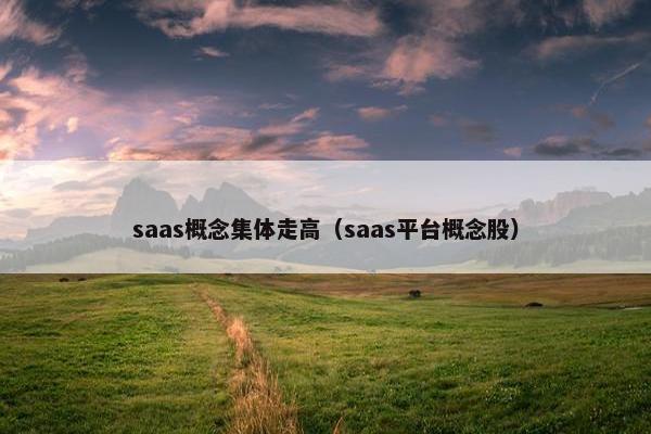 saas概念集体走高（saas平台概念股）