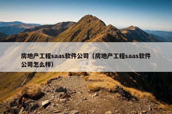 房地产工程saas软件公司（房地产工程saas软件公司怎么样）