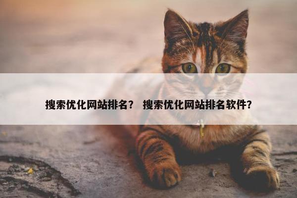 搜索优化网站排名？ 搜索优化网站排名软件？
