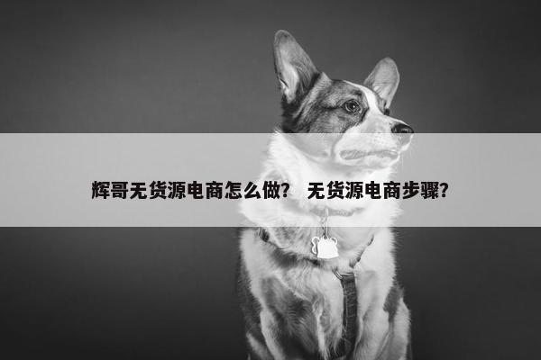 辉哥无货源电商怎么做？ 无货源电商步骤？