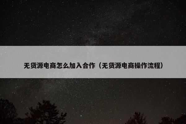 无货源电商怎么加入合作（无货源电商操作流程）