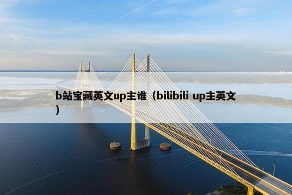 b站宝藏英文up主谁（bilibili up主英文）