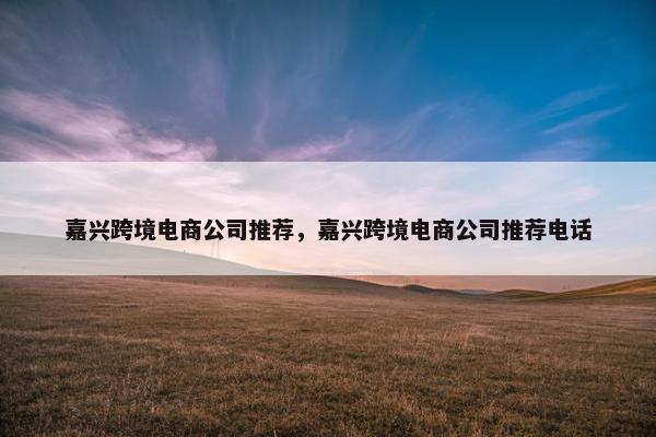 嘉兴跨境电商公司推荐，嘉兴跨境电商公司推荐电话