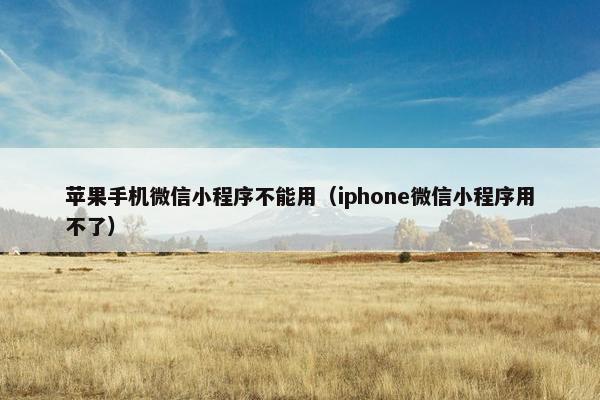 苹果手机微信小程序不能用（iphone微信小程序用不了）