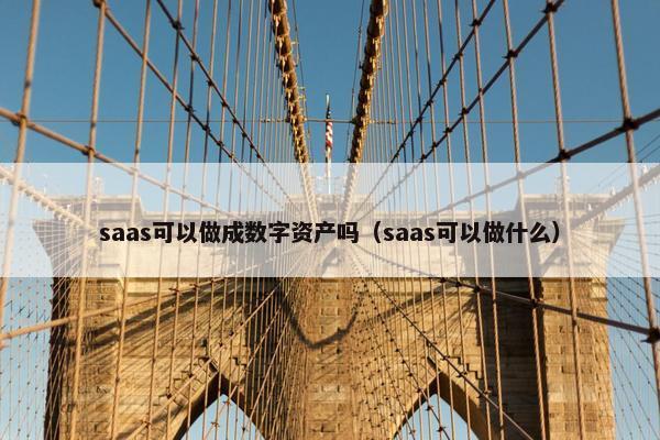 saas可以做成数字资产吗（saas可以做什么）