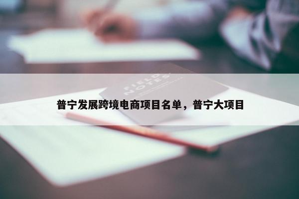 普宁发展跨境电商项目名单，普宁大项目