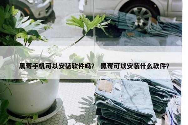 黑莓手机可以安装软件吗？ 黑莓可以安装什么软件？