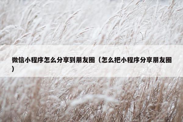 微信小程序怎么分享到朋友圈（怎么把小程序分享朋友圈）
