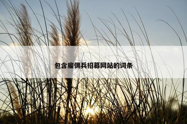 包含雇佣兵招募网站的词条