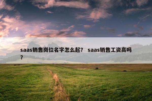 saas销售岗位名字怎么起？ saas销售工资高吗？